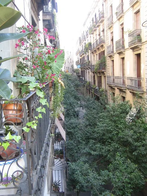Pension Alamar Barcelona Gasthuis